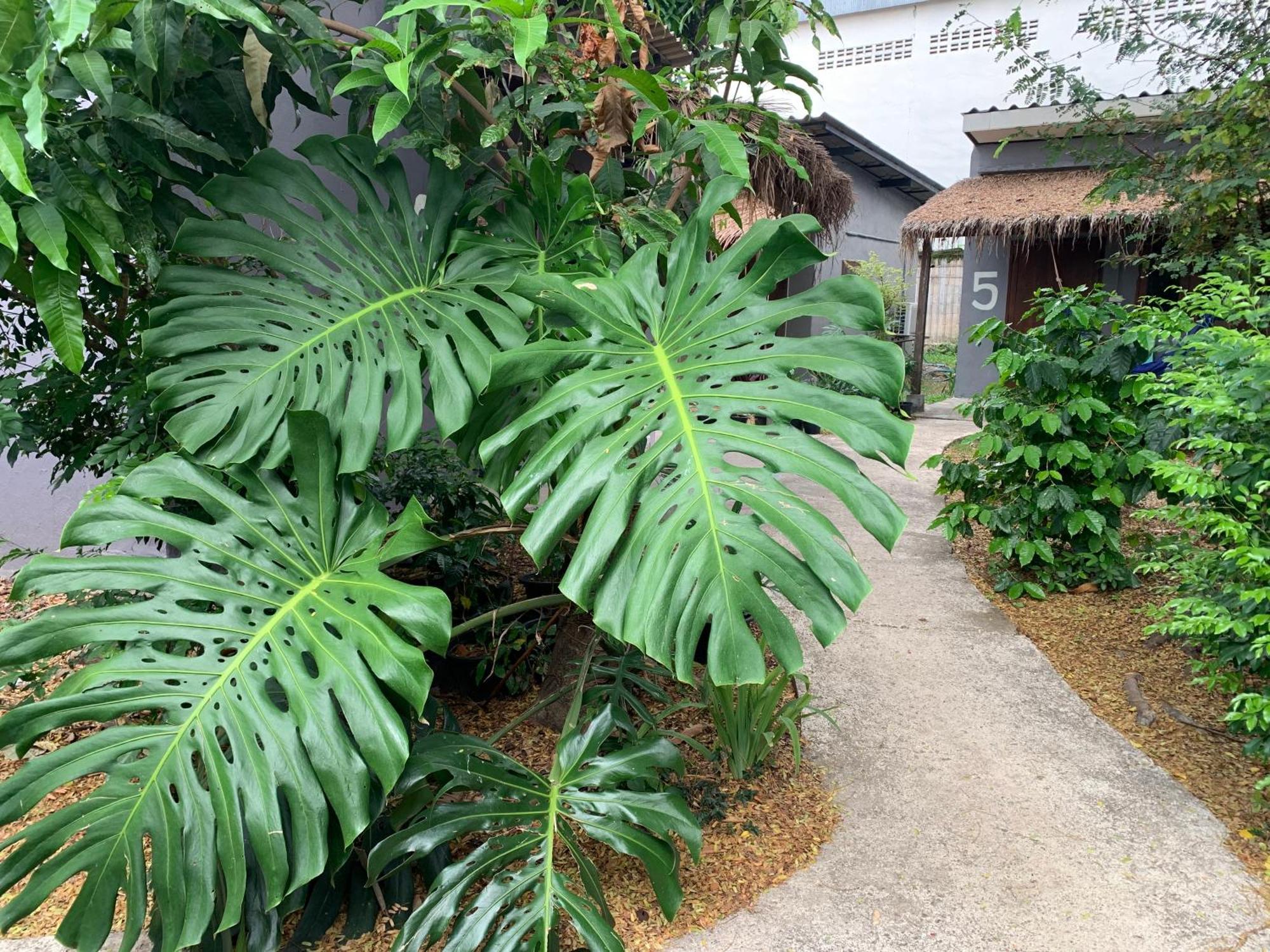 บ้านใจแปงโฮมสเตย์ Ban Jaipang Homestay Pai Ngoại thất bức ảnh