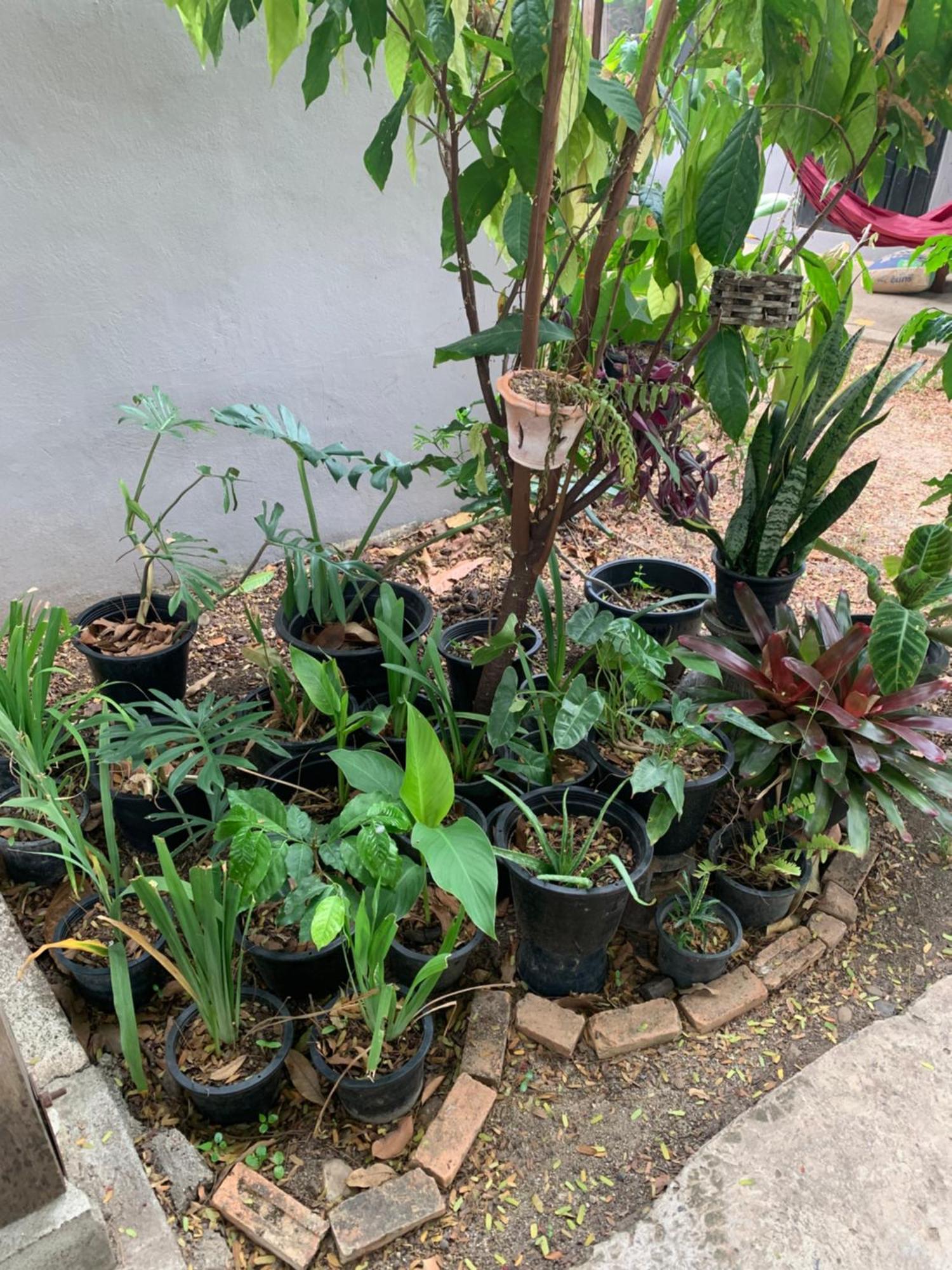 บ้านใจแปงโฮมสเตย์ Ban Jaipang Homestay Pai Ngoại thất bức ảnh